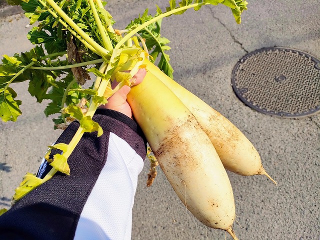 とっても嬉しかったバレンタインデー💕